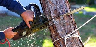Best Soil Testing and Treatment  in Bogota, NJ