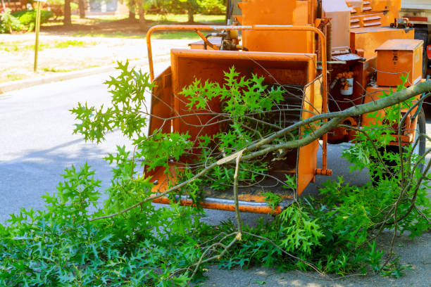 Best Lawn Pest Prevention  in Bogota, NJ