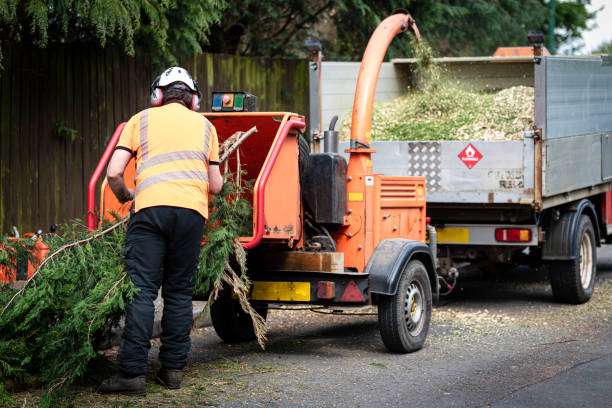 Best Utility Line Clearance  in Bogota, NJ